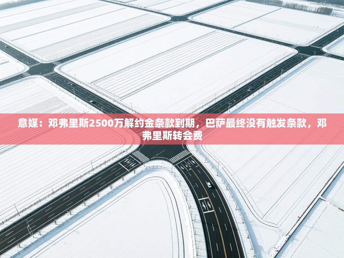 意媒:邓弗里斯2500万解约金条款到期,巴萨最终没有触发条款,邓弗里斯转会费 第2张