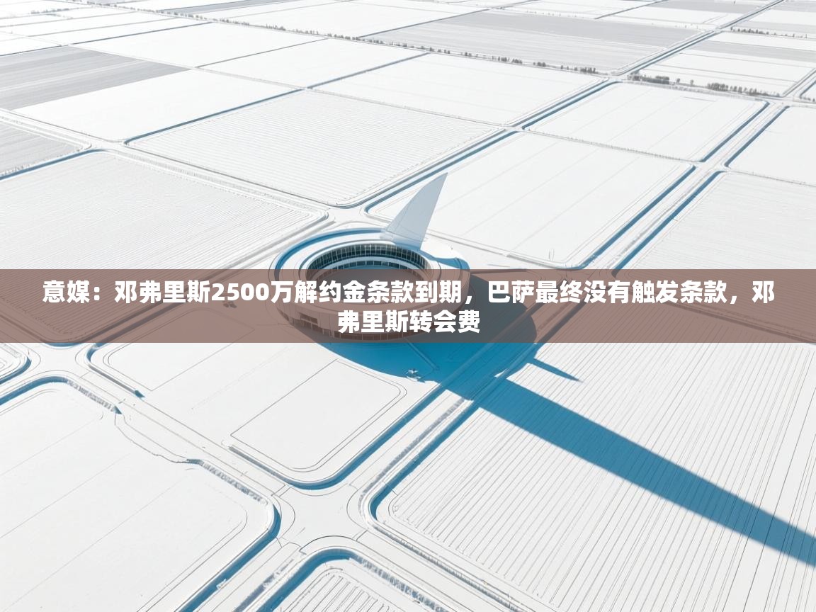 意媒:邓弗里斯2500万解约金条款到期,巴萨最终没有触发条款,邓弗里斯转会费 第1张