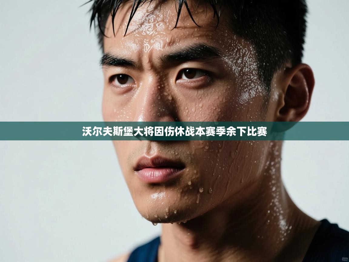 沃尔夫斯堡大将因伤休战本赛季余下比赛  第2张