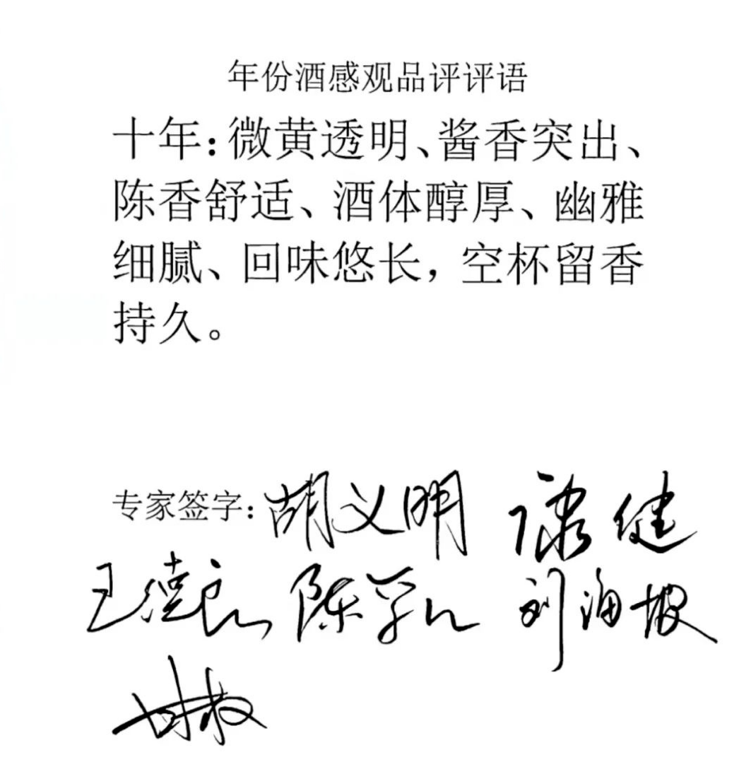 黑马崛起，势如破竹狂揽连胜助力前行